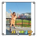 연제구-054 | 롯데 사직야구장 직관 후기 좌석 시야 좋은 곳 추천