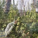 차오르다의원 | 12월 15일 월요일이었지_엄마의 3대 거짓말