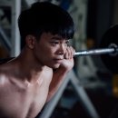 비다펠리즈 이미지