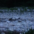 설악산관광호텔 이미지