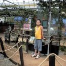 채원농원 이미지