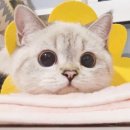 헤어스토리 윤슬