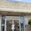 <대관>『벚꽃이 지는날에』 | 청도브런치카페 오브제토｜웨딩홀 대관 가능한 벚꽃뷰 카페