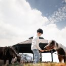 분당승마클럽 이미지