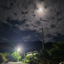 소백산비비 이미지