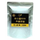 담원인터내셔널