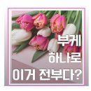 작은한개 | 인천 부케말리기, 부케 하나로 몇 개까지 만들 수 있나요? 부케 말리기 실제 제작 후기