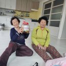 예교경로당 Daum카페