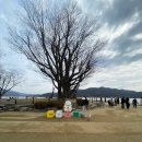 두물머리 | 서울 근교 힐링 여행지 추천! 두물머리 다녀온 후기