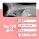 명지 수동물병원 이미지