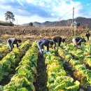 괴산군농업기술센터 이미지