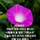오늘도소풍