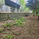 쌈지공원 이미지