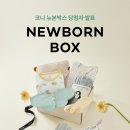 뉴본