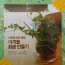 이끼마루 이미지