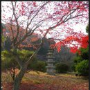 청림사