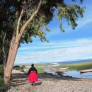 그레이스의 여행편지8, '남미 티티카카호수의 섬’ 이미지