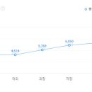 매그나칩반도체(유)