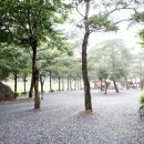 무릉도원면-14 이미지