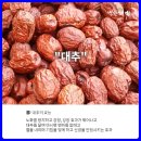 어성초영농조합법인 이미지