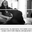 강아지의 하루 이미지