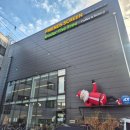 무하로 | 화성대형카페 데이트 하기 좋은 언더더트리 후기