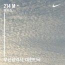 황령산유원지 생태숲 | 황령산 둘레길 6km 걷기 좋은 길 : 황령산 유원지 생태숲 바람고개 동광 골프장 뒷길 금련산청소년...