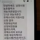 시골빈집에 이사와서 599만원 공짜로 지원금 입금받았어요 이미지