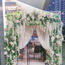 맛있개신나개 이미지