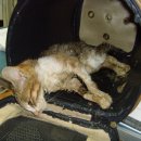 77 당구장 이미지