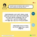 멘터 이미지