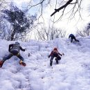 아이스 이미지