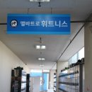 앨바트로휘트니스 이미지