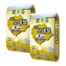 오대 이미지