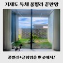 외간정글돔하우스 | [거제도 펜션] 정글돔 풀빌라 앤 글램핑 : 반려견 동반 신축 독채, 풀빌라와 글램핑을 한곳에서! 2...