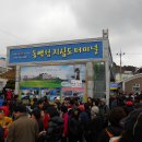 동백꽃 물들다