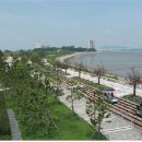 씨사이드 이미지