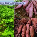 돈키 - 남구 천변좌로338번길 16 | 돈키
