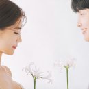 스튜디오시라