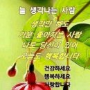 구들장 - 김해시 | 구들장