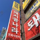 돼지꿈나라 이미지