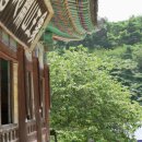 대웅목장 이미지