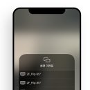 캐스트플립