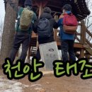 돼지의품격 이미지