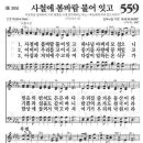 사철에 봄바람 불어 잇고 559장 (통305) 이미지