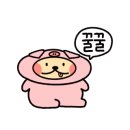 둥지타코엔커피 경주본점