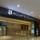 한강아쿠아영어조합법인 | 하노이 럭셔리 찜질방 아쿠아필드 오션시티 내돈내산 후기