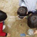 콩세알어린이집 이미지