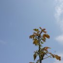 윤씨네농장 이미지