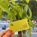 미용실(미용실) 이미지